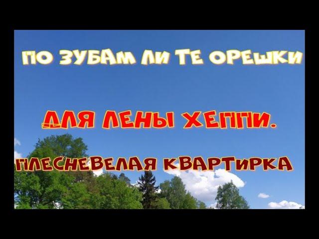 Квартирушка в жилье для пенсов- достижения Лены Хеппи.И  то за счёт несчастного старичка!!!