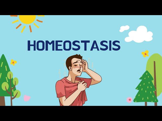 What is Homeostasis in Biology?