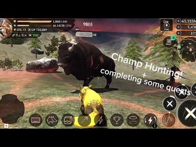 The Wolf- Hunting Champs + Completing Quests!