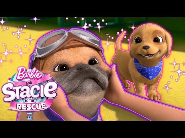 De nouveaux amis chiots ! Rookie rencontre Zeus ! | Barbie et Stacie : le grand sauvetage !