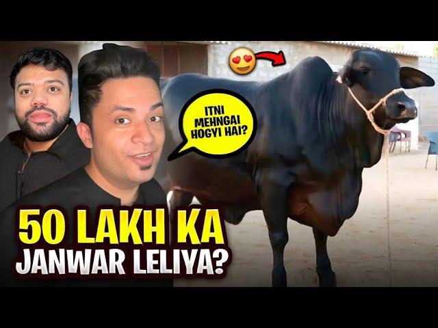 50 LAKH KA JANWAR  | BOHAT MEHNGI MANDI  | EID KA PLAN CANCEL