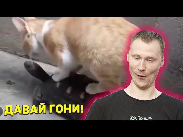 ЗАСМЕЯЛСЯ - ПОДПИСАЛСЯ!! ЛУЧШИЕ ПРИКОЛЫ 2020 ТЕСТ НА ПСИХИКУ - РЕАКЦИЯ на Союз смеха