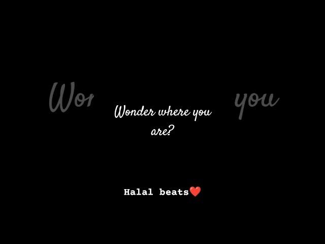 wonder where you are?..#lyrics#vocals#naat#islam#deen#islam@Alamgir-Creation