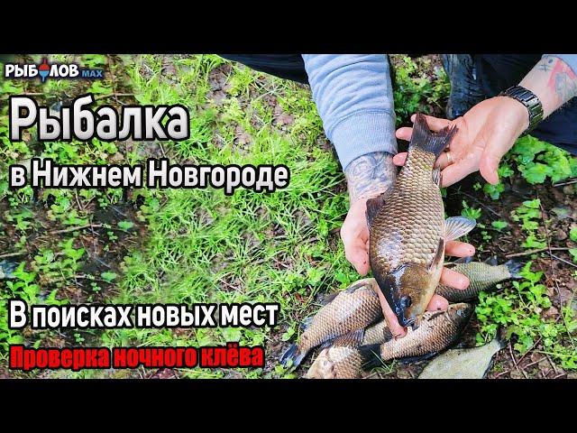 Проверка ночного клева на озере за городом Бор. Рыбалка в Нижнем Новгороде