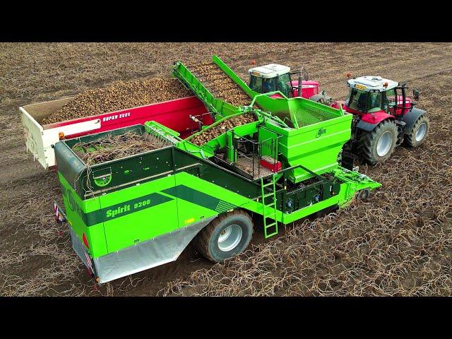 Aardappels rooien | AVR Spirit 9200 | NEW | Harvesting potatoes | Kartoffelernte | Massey Ferguson