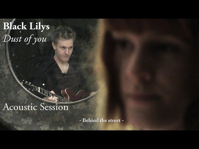 #774 Black Lilys - Dust of you (Acoustic Session)