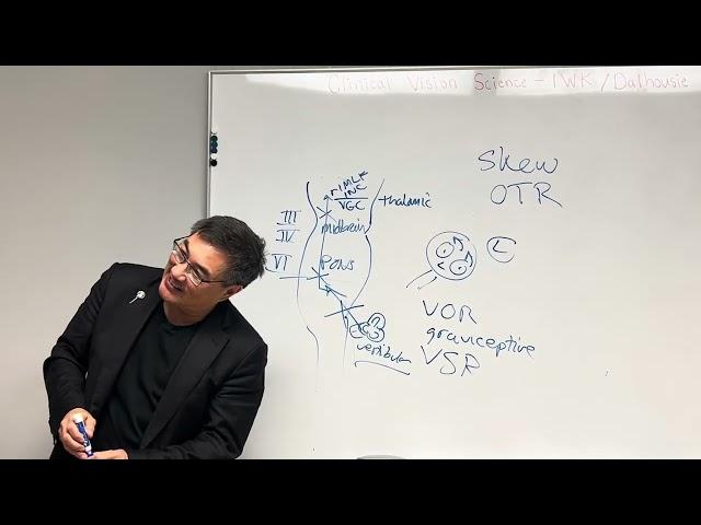 Skew deviation pathophysiology