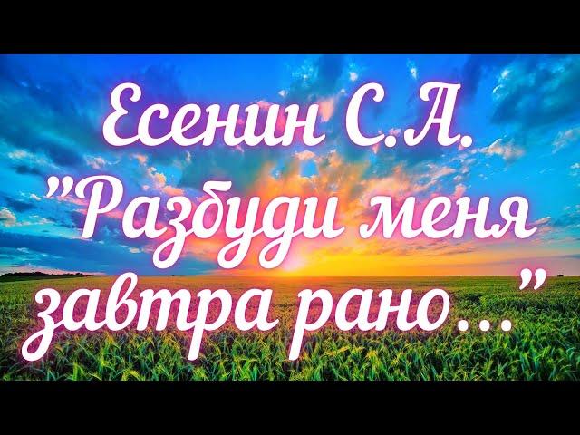 Есенин С.А. Разбуди меня завтра рано…