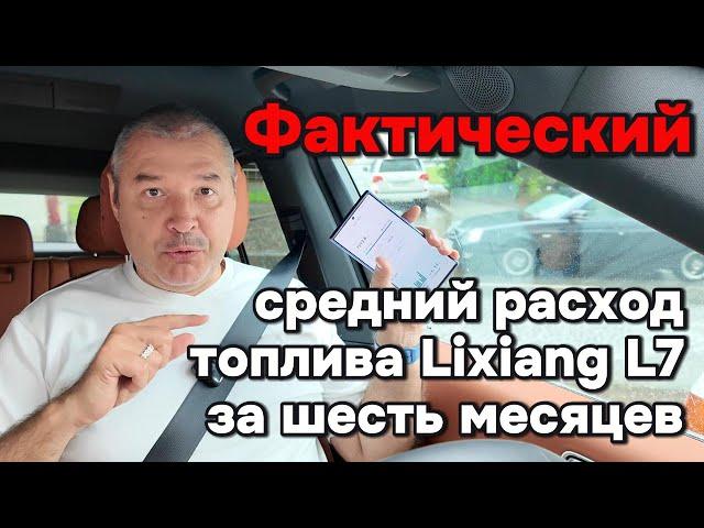 Средний расход топлива у Lixiang L7 за полгода