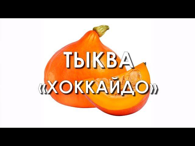 Обзор сорта тыквы "Хоккайдо" (характеристики, свойства, фото)