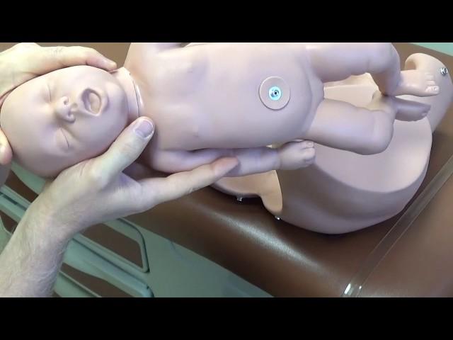 HELPER Mnemonic for Shoulder Dystocia