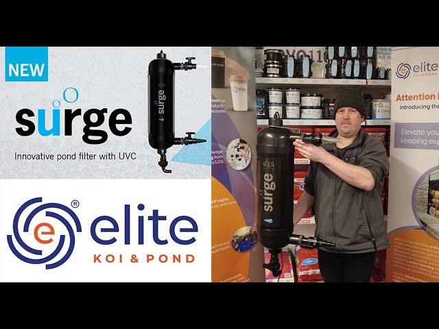 ⭐️NEW⭐️ - Evolution Aqua Surge Filter Unboxing @elitekoi