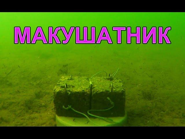 Пробовал под водой классический МАКУШАТНИК хотелось показать, что это не жаберный способ ловли рыбы