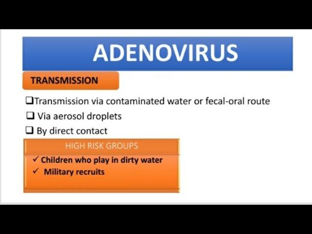 Adenovirus- transmission, clinical manifestations,diagnosis and  prophylaxis