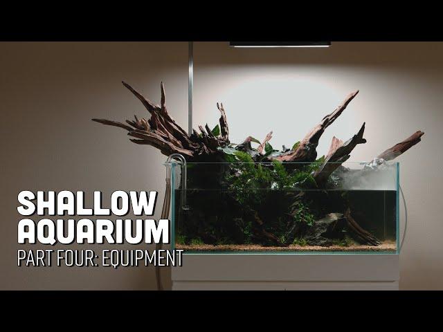 Shallow Aquarium Planted Paludarium Mini Series Part 4 - Equipment Overview