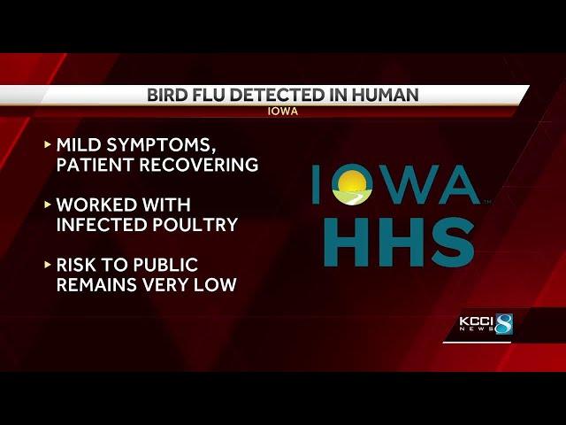 First case of bird flu in human confirmed in Iowa