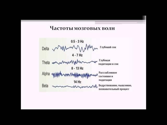 суперспособности! Супер мозг!