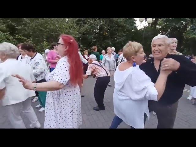 Чёрная смородина........22.09.24 Гомель парк Луначарского 