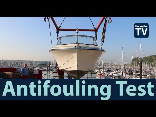 Antifouling Test - wisch und weg?