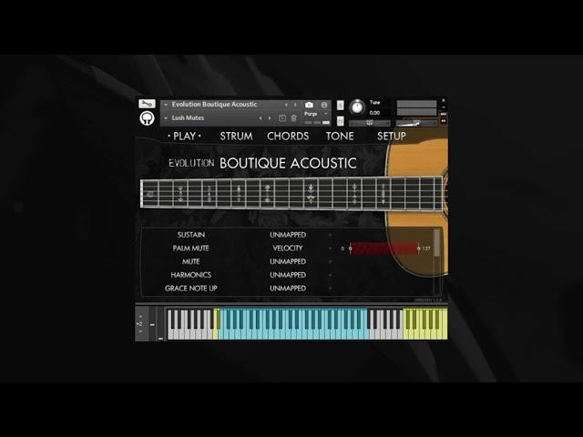 Evolution Boutique Acoustic - Overview & Preset Demo