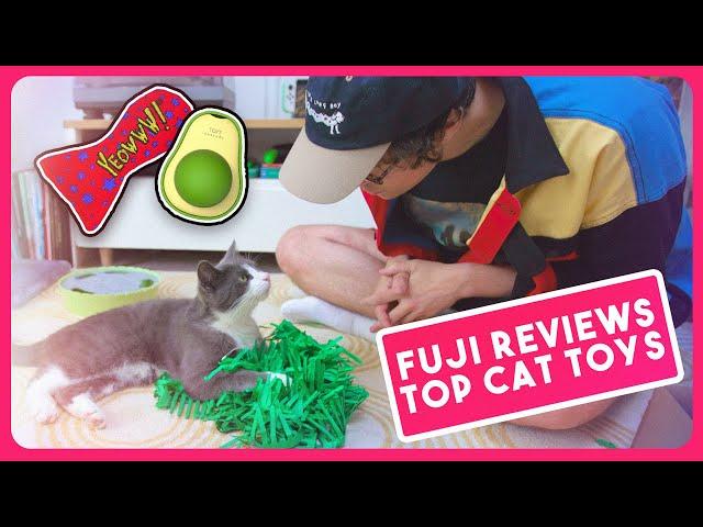 My Cat Reviews Top Rated Cat Toys