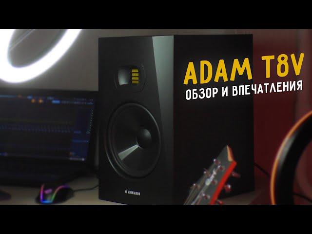 МОНИТОРЫ ДЛЯ ДОМАШНЕЙ СТУДИИ ADAM T8V. ОБЗОР, ВПЕЧАТЛЕНИЯ