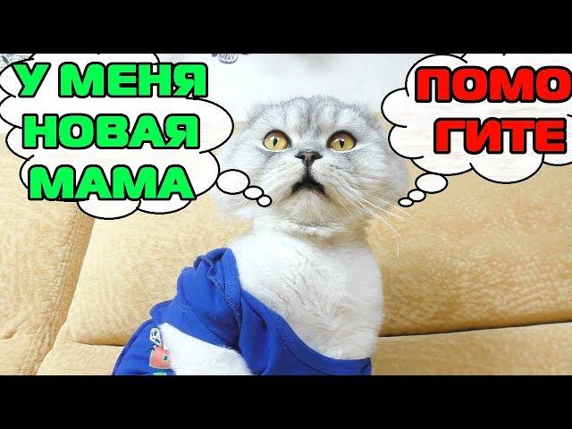 ОТБИРАЮТ КОТА! КТО ПОДКИНУЛ КЕВИНА И БИЛЛИ ГОД НАЗАД?