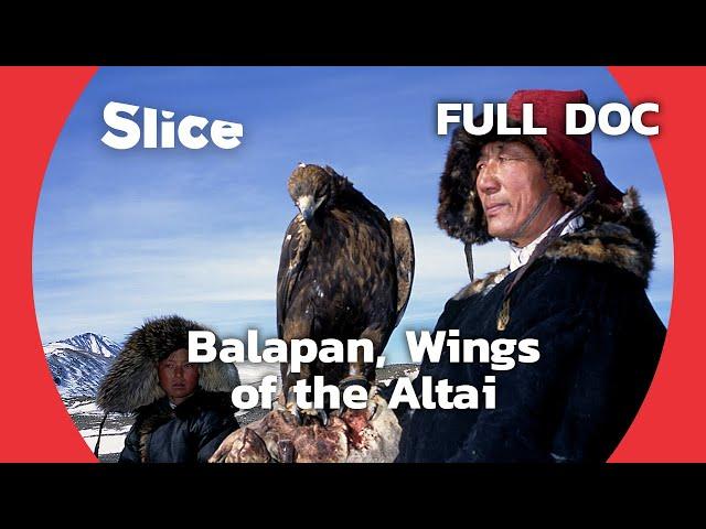 Surviving the Wolves: The Epic Eagle Hunt of Deloun Valley | FULL DOCUMENTARY