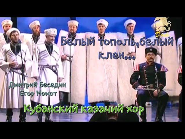 Дмитрий Беседин, Егор Момот (Кубанский казачий хор) - Белый тополь, белый клён...