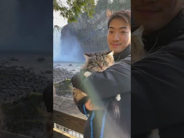 Siberian Cat at Waterall | I think he was scared! #cat #pets #siberiancat #travel #cute #outdoors
