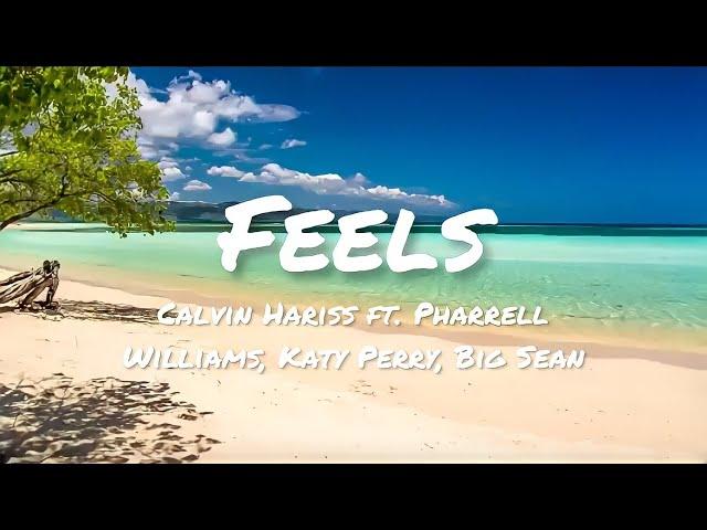 Calvin Hariss - Feels ft. Pharrell Williams, Katy Perry, Big Sean (Lyrics)