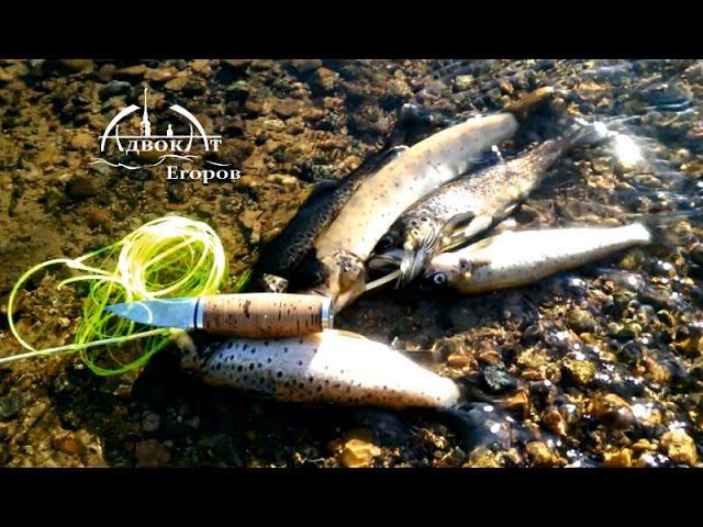 The trout on the tape from a plastic bottle