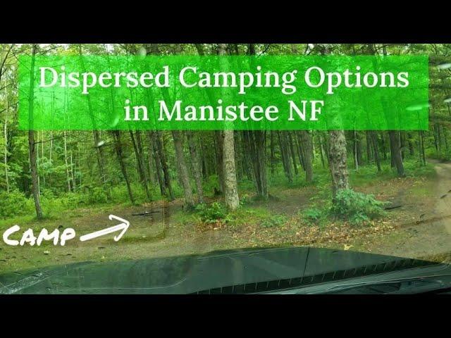 How to Dispersed Camp in Manistee National Forest