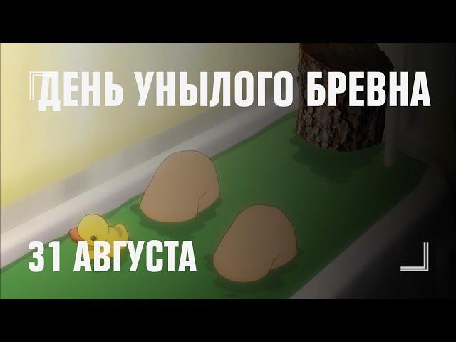 ДЕНЬ УНЫЛОГО БРЕВНА: «Ванпанчмен», «Рик и Морти», «Подозрительная сова»