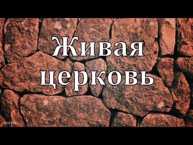 "Живая церковь".  Г. В. Костюченко. МСЦ ЕХБ