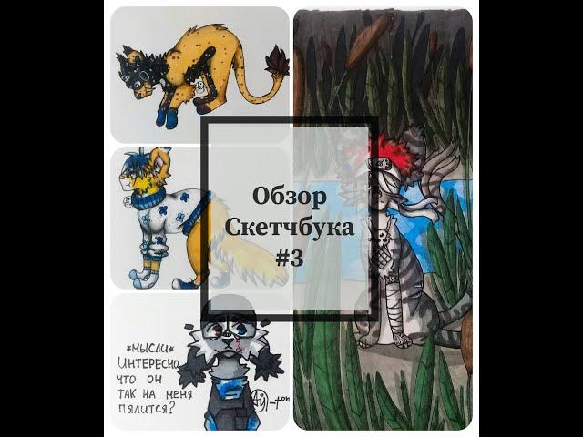 Обзор Скетчбука #3 [Рисунки Коты Воители] И Не Только.
