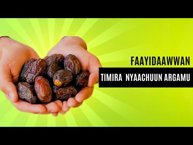 TIMIRA NYAACHUUN MAAL FAYYADA?