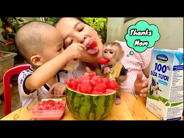 Linda and Brother Kun Eat watermelon with fresh milk, it's amazing