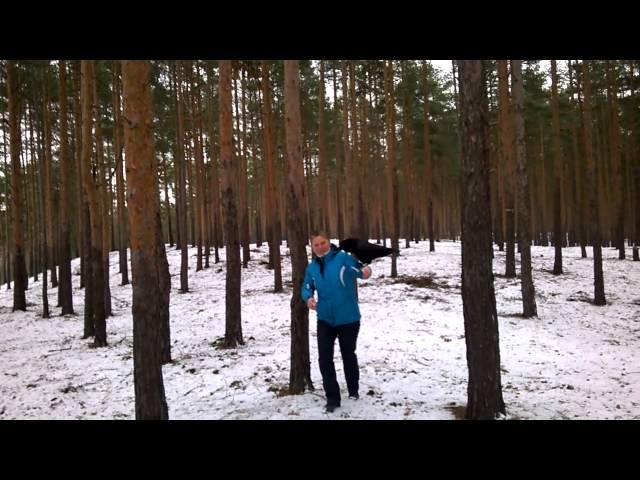 Ворон Вася на прогулке в лесу /  talking crow Vasya on a walk in the forest. (Speaks Russian)