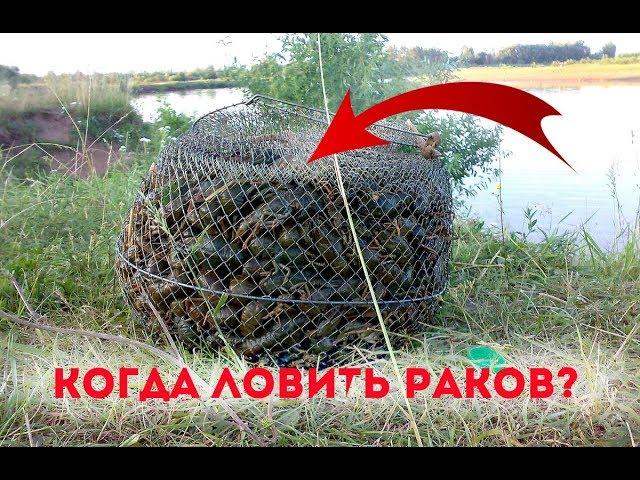 В каких водоёмах ловятся раки?