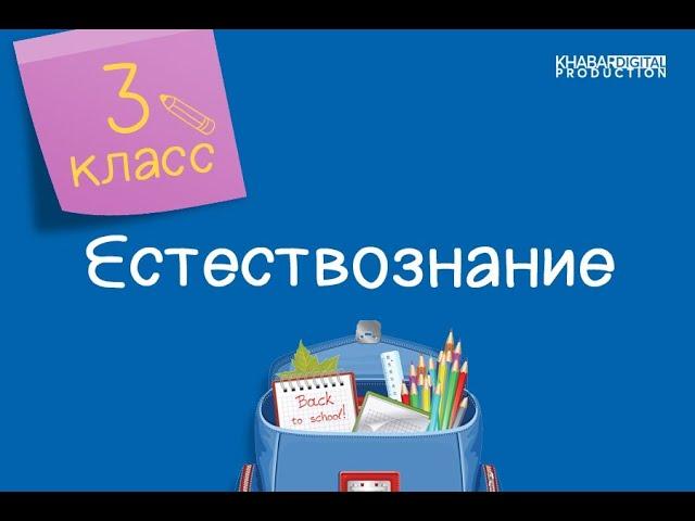 Естествознание. 3 класс. Планирование и проведение эксперимента /14.09.2020/