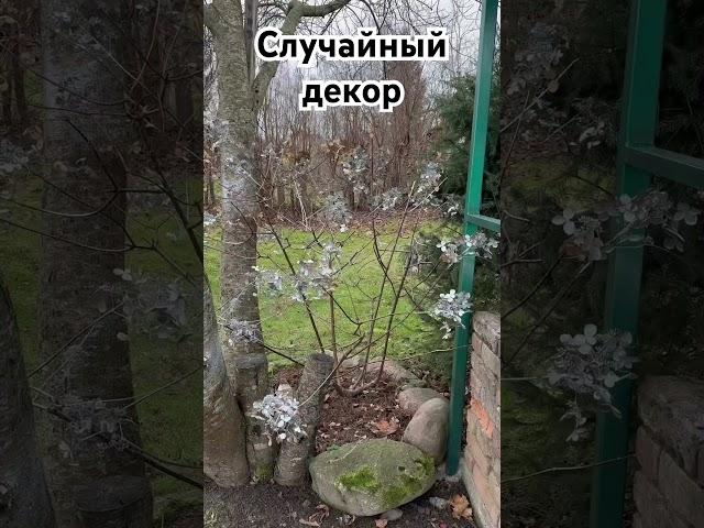 Новогодний декор