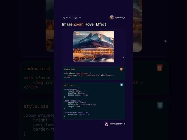 Image zoom hover effect #coding #html #htmlcss #python #css3 #webdesign #html5 #webdevelopment #css