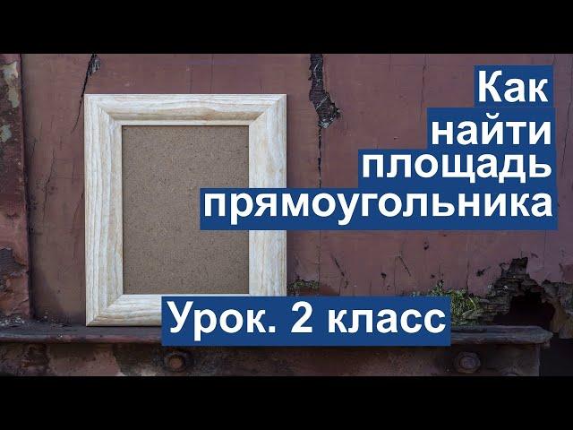 Урок. Как найти площадь прямоугольника. Математика 2 класс. #учусьсам