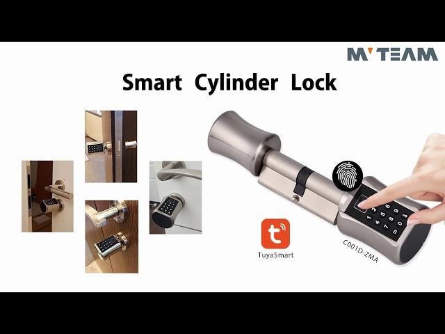 Smart Cylinder Door Lock MVTEAM