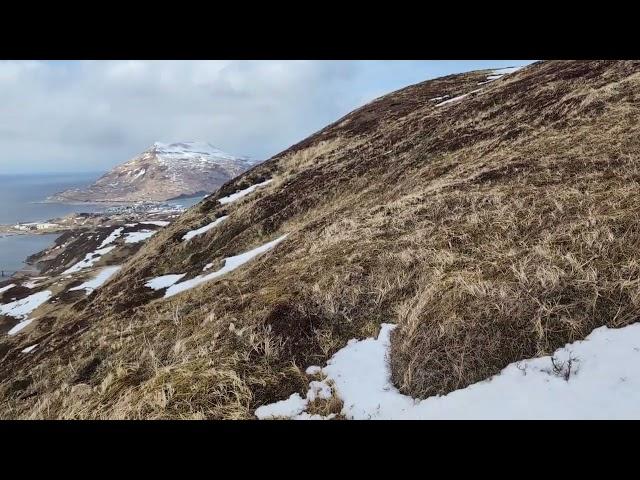 Dutch Harbor Gold Mine!?!?!?