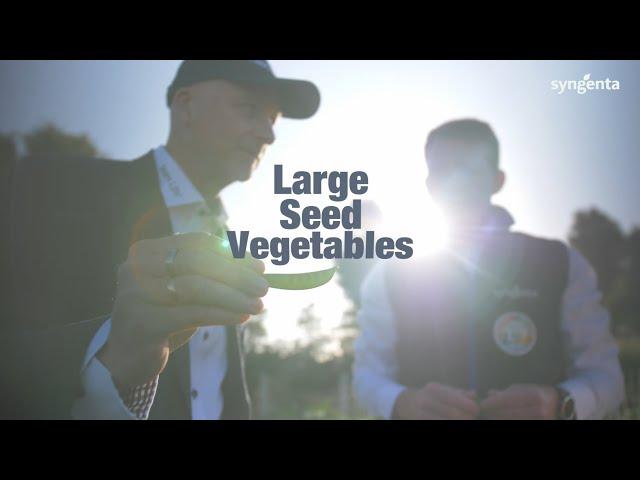 Meet the Syngenta Large Seed Vegetables Team