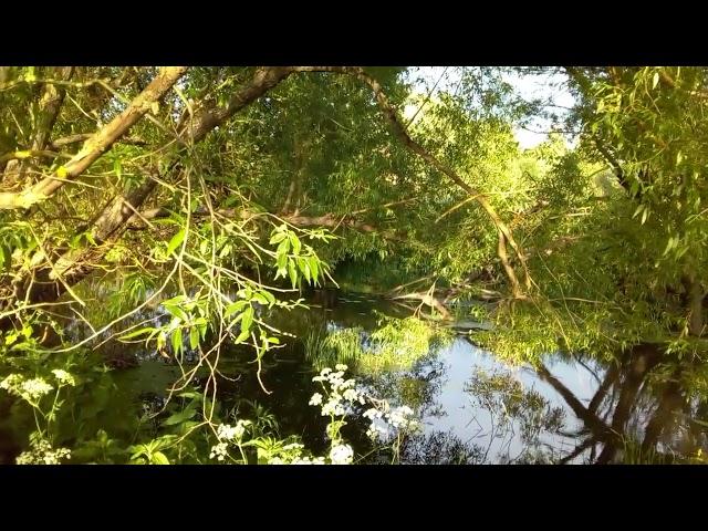 #vlog June 9,  2024. Was fishing on small river outside town