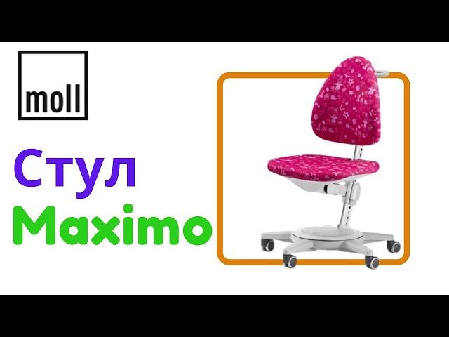 Растущий стул moll Maximo