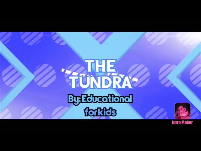 The Tundra | Educational for kids